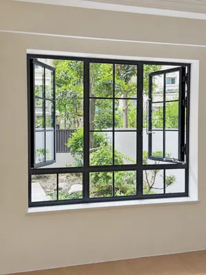 CW09 · Black — Paired casements · lower fixed glazing